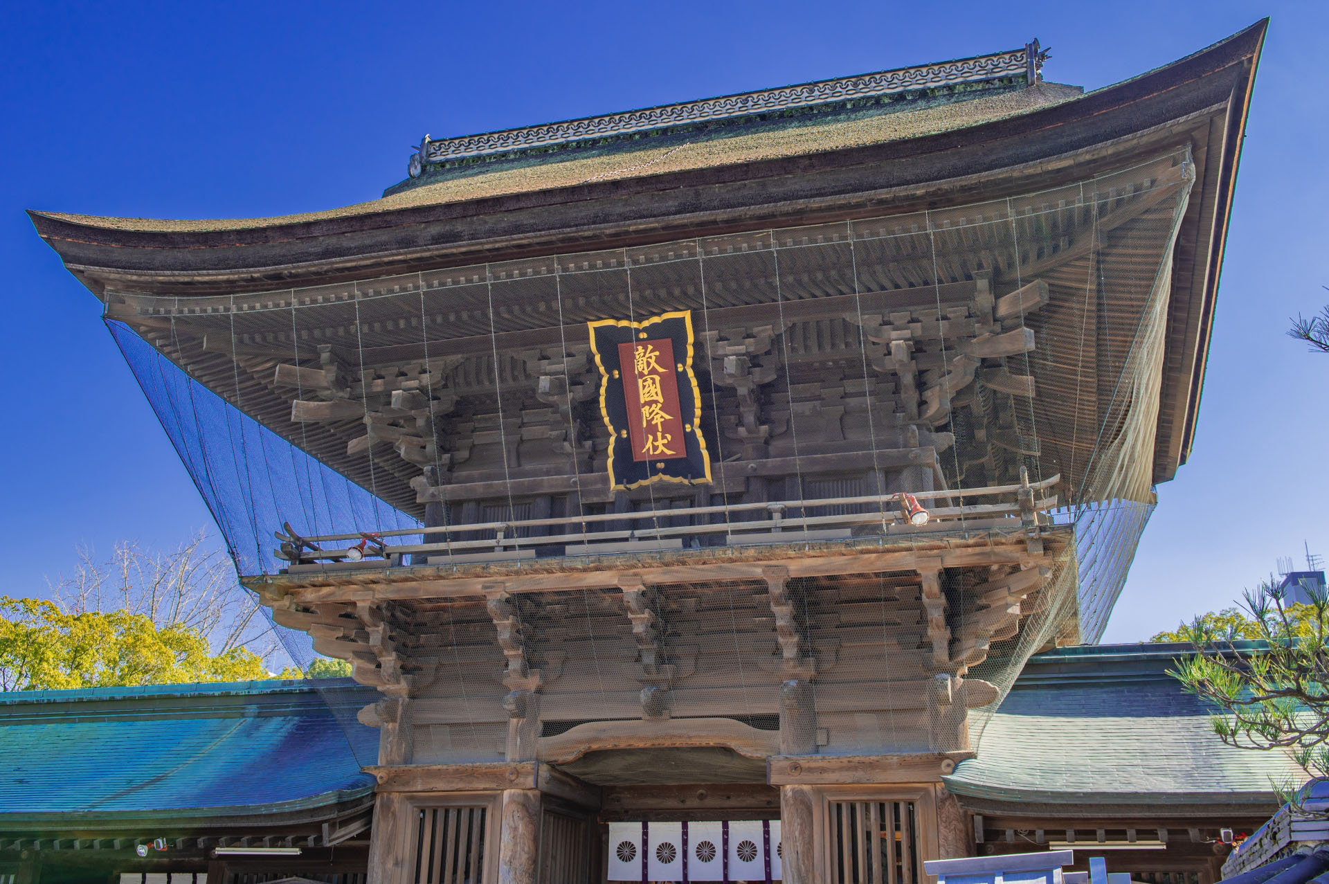 Gallery 2
